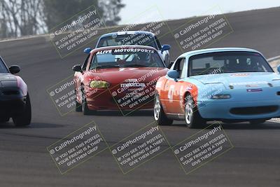 media/Feb-22-2025-SCCA SD (Sat) [[57201885c5]]/Group Two/Group 2B/